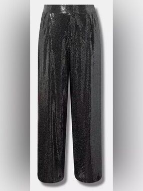 Beautiful Silver Wide Leg Torrid Pants Size 2 (16/18)